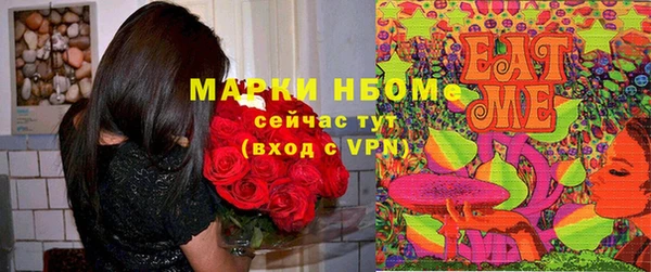 тгк Пестово