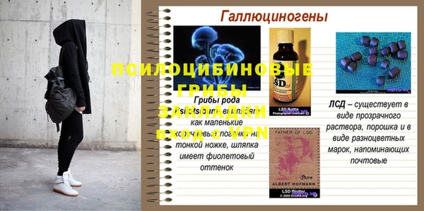 дживик Пересвет