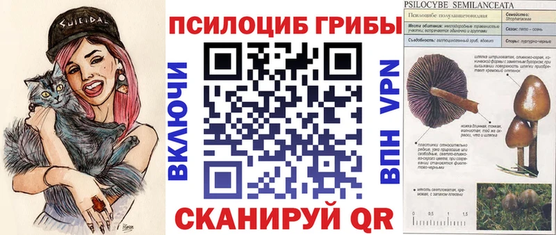 Псилоцибиновые грибы Psilocybine cubensis  Красавино 
